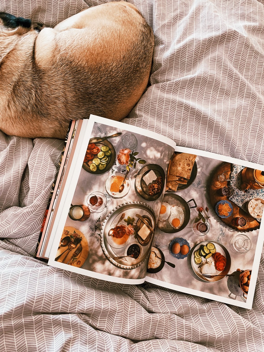 2023 Year in Review: Favorite&nbsp;Books